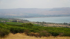 DSC03371