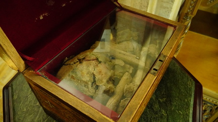 Bones, including skull.
