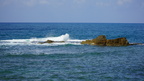 DSC03525